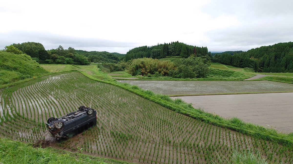 めっちゃ景色いい 