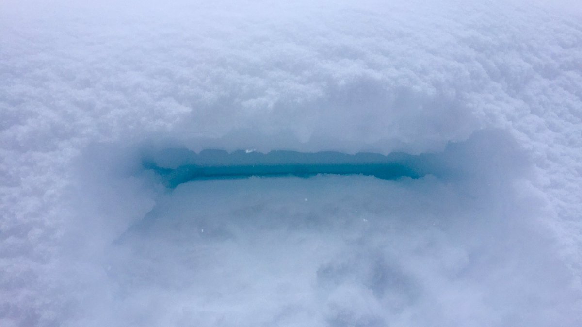 ラムネのような爽やかで清涼な色だども…しかしこの雪の量、なんとかならねえもんだべかな