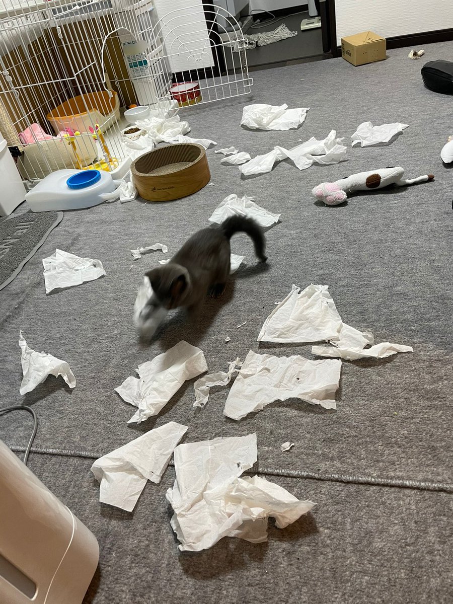 もうどうして良いか分からない 