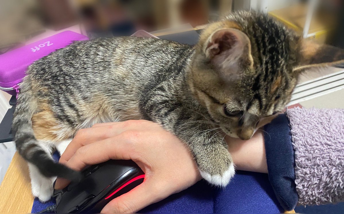 在宅勤務の捗らなさを見て 