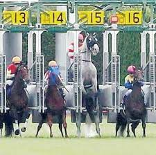 あ、ゴルシちゃんモードで120万マニーって……120……あっ 