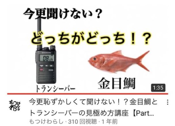 金目鯛とトランシーバーの見極め方講座【Part１】 