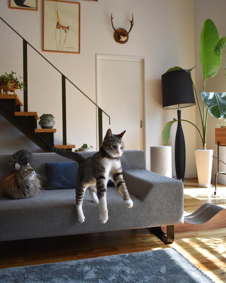 インスタに載せたら宇宙人にさらわれる瞬間ですよね