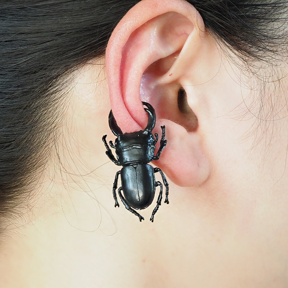  オオクワガタは黒いダイヤとも称される人気の昆虫です