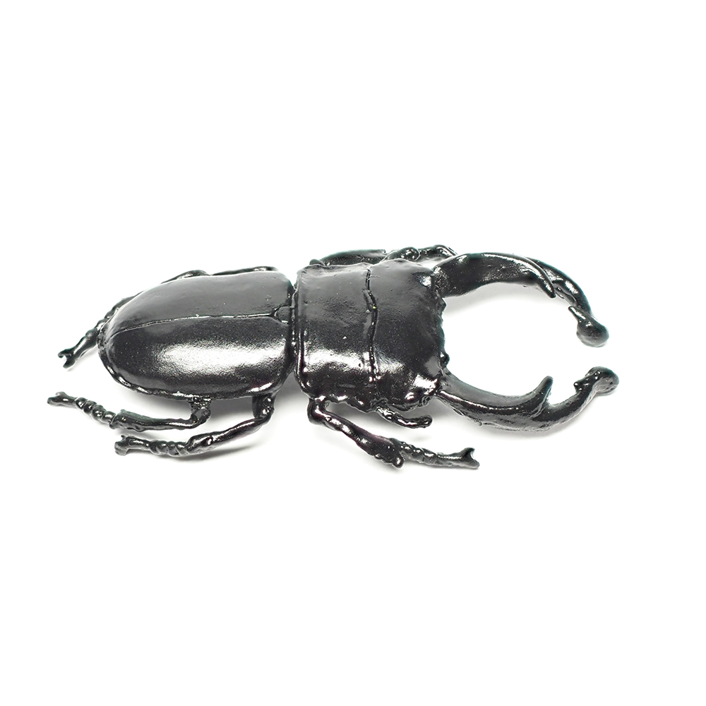  オオクワガタは黒いダイヤとも称される人気の昆虫です