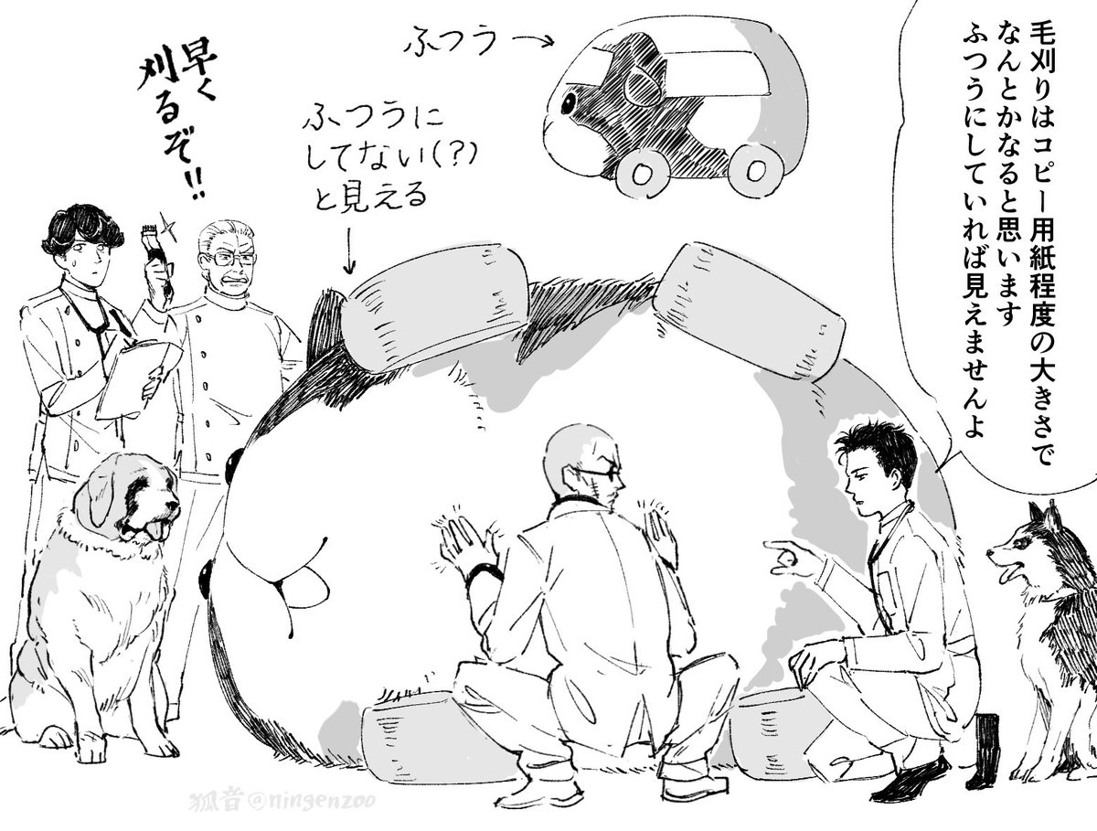 『毛刈りの窓』の時間です #モルカーのお医者さん 