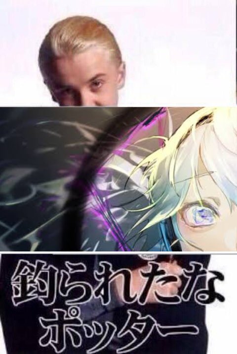 Twitter完全に理解した 