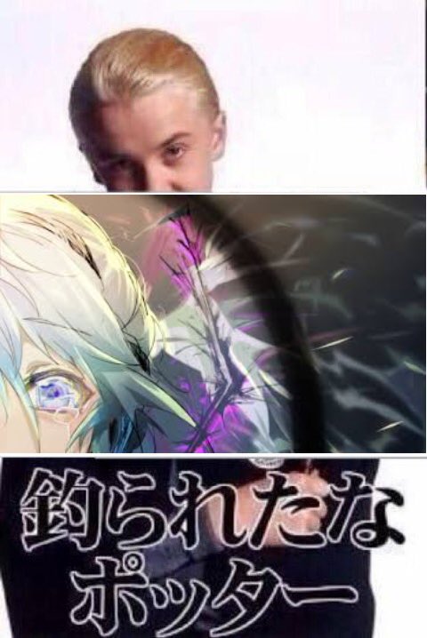 Twitter完全に理解した 