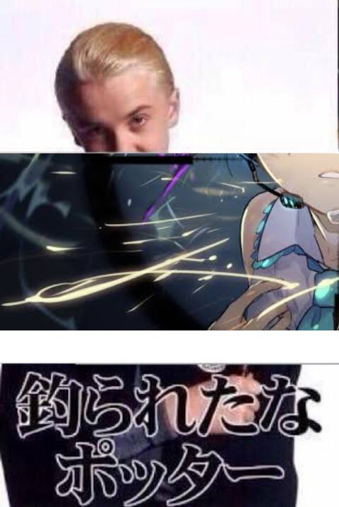 Twitter完全に理解した 