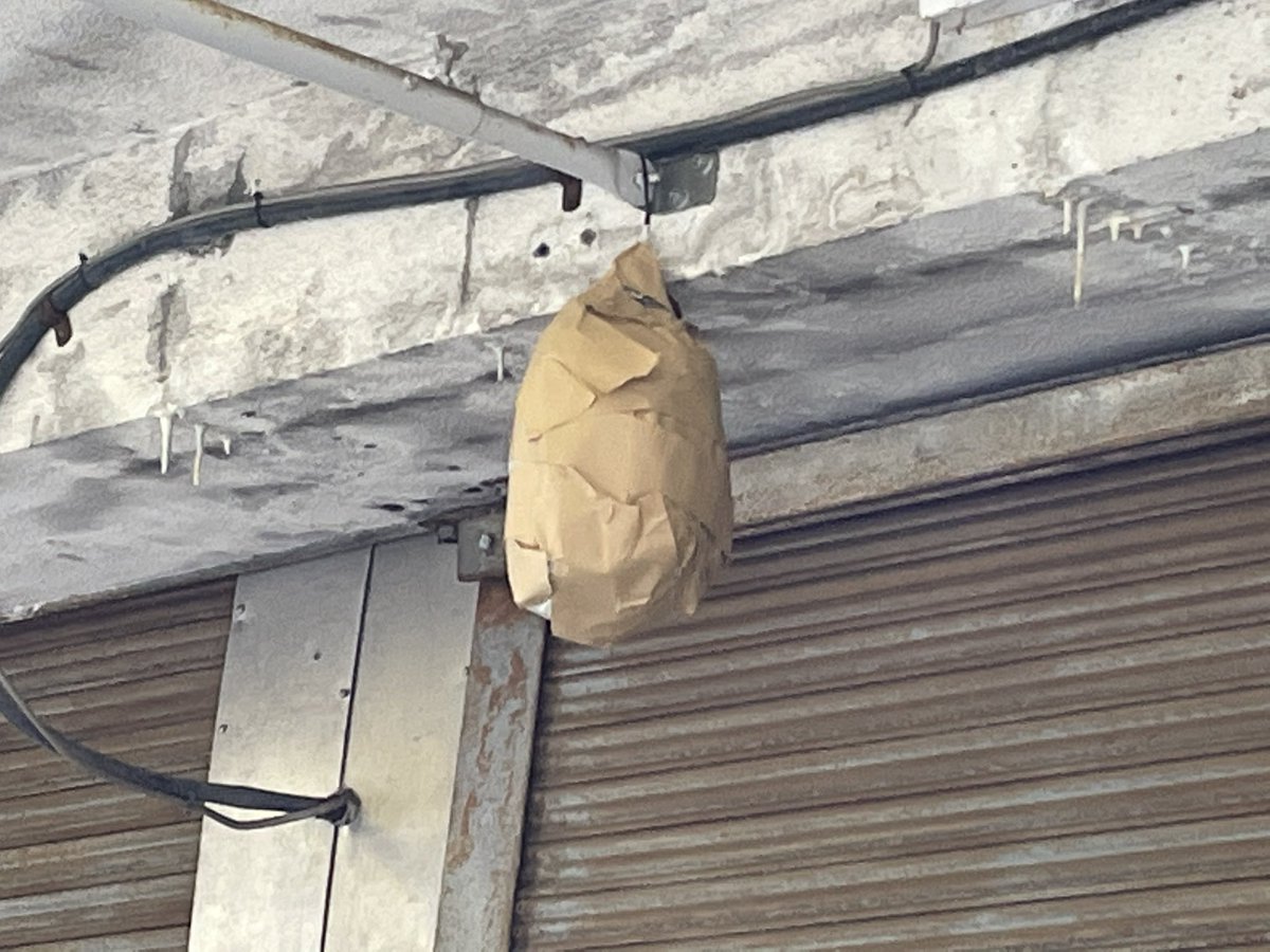 まじ効果あるな  蜂類一切来なくなったわ 俺の手作りダミー蜂の巣やるやん 