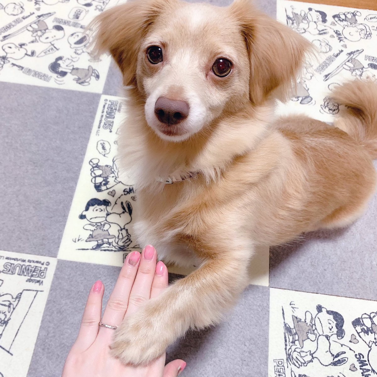 いつも応援してくださる皆様へ。 ついに、ついに…！ 