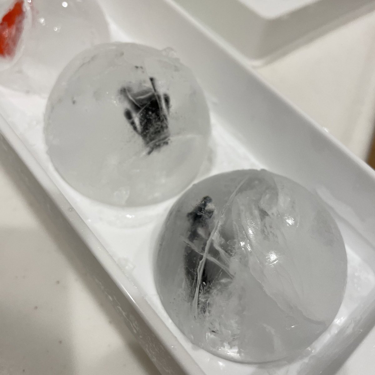 お風呂イヤがる息子が秒で入るようになった子育てライフハック  ガチャガチャとかバスボムのおまけを100均で売ってるアイスボール作る奴で凍らせるとお風呂で溶かすのがすごく楽しいらしい 「くまモン凍っちゃったからお風呂で助けなきゃ