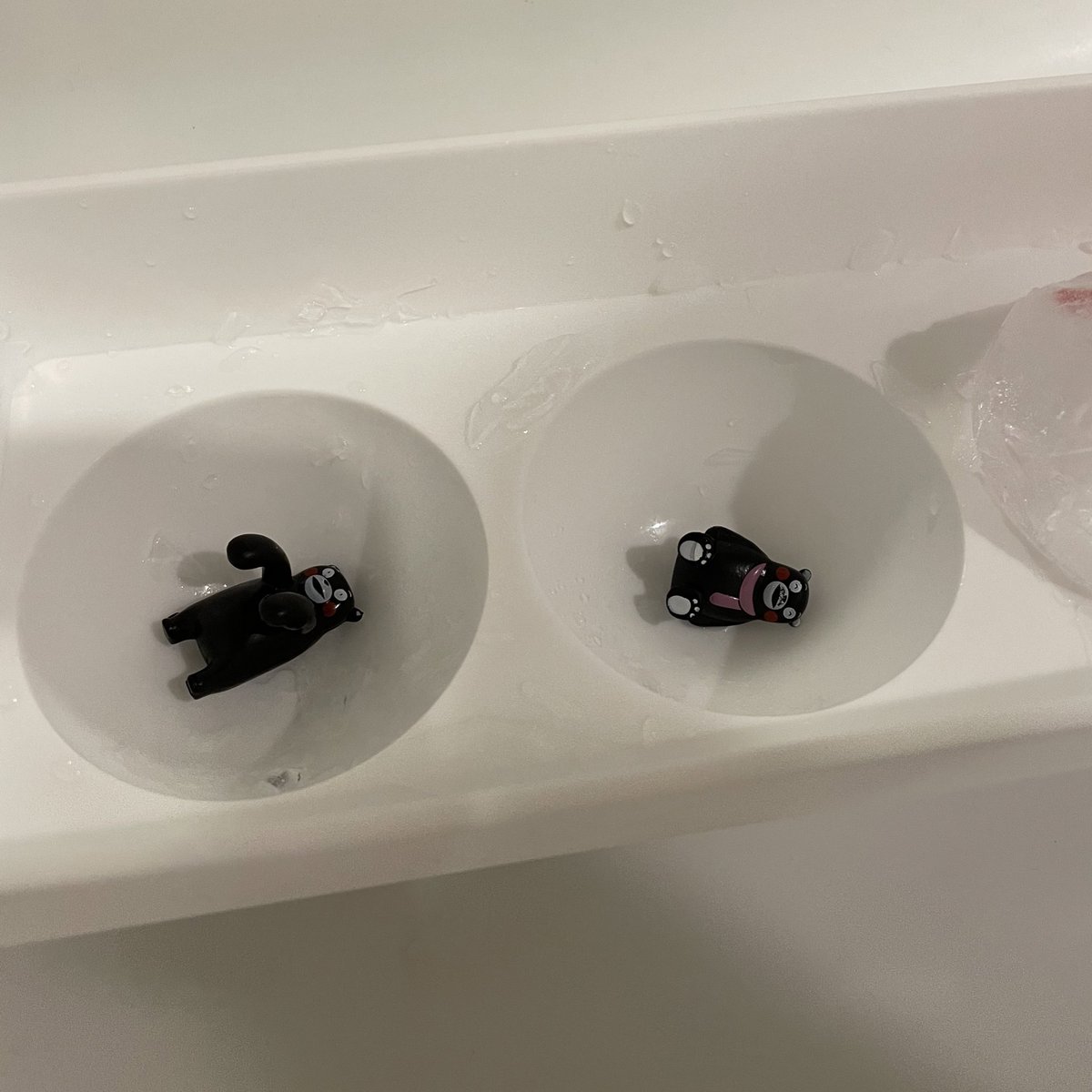 お風呂イヤがる息子が秒で入るようになった子育てライフハック  ガチャガチャとかバスボムのおまけを100均で売ってるアイスボール作る奴で凍らせるとお風呂で溶かすのがすごく楽しいらしい 「くまモン凍っちゃったからお風呂で助けなきゃ