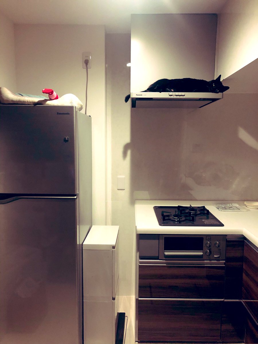 レンジフードの耐荷重なんて気にした事なかったな… 