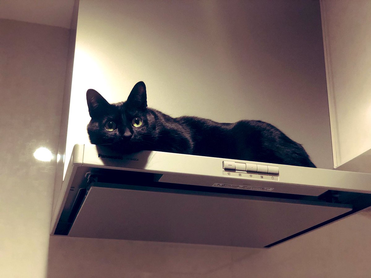 レンジフードの耐荷重なんて気にした事なかったな… 