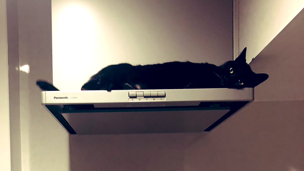 レンジフードの耐荷重なんて気にした事なかったな… 