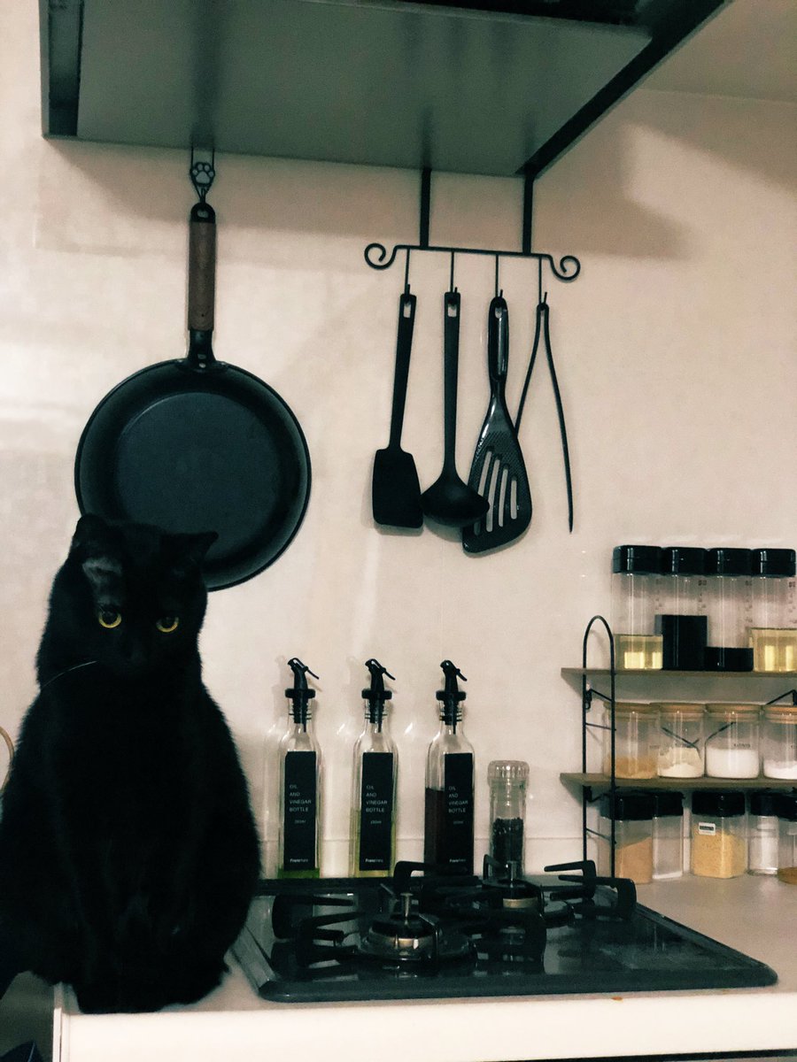 黒猫キッチン 