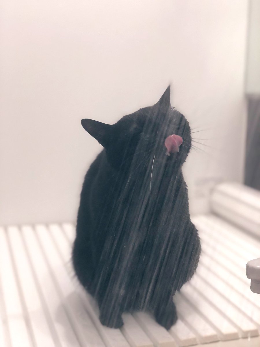 ｼｬﾜｰﾉ・ｵﾕﾉﾑﾉｽｷｰ1世 