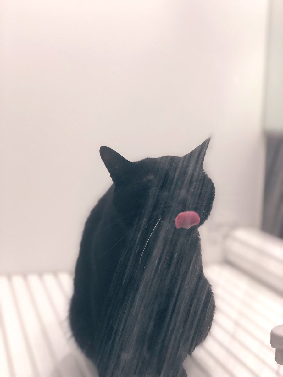 ｼｬﾜｰﾉ・ｵﾕﾉﾑﾉｽｷｰ1世 