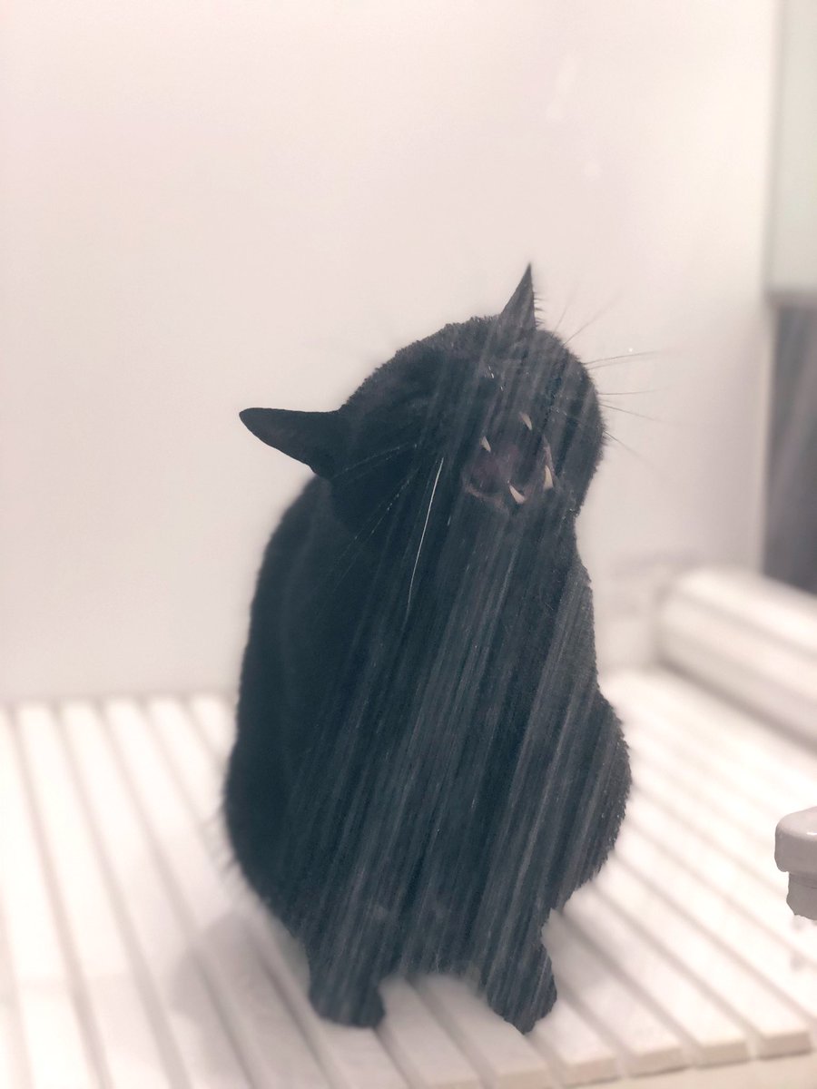 ｼｬﾜｰﾉ・ｵﾕﾉﾑﾉｽｷｰ1世 