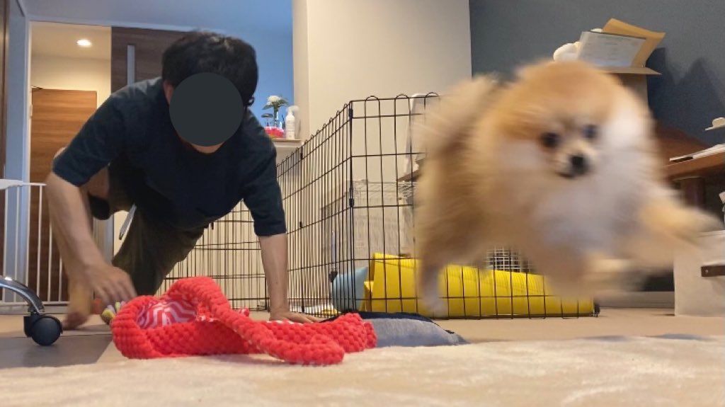 「任務開始ッ！」 「了解」 