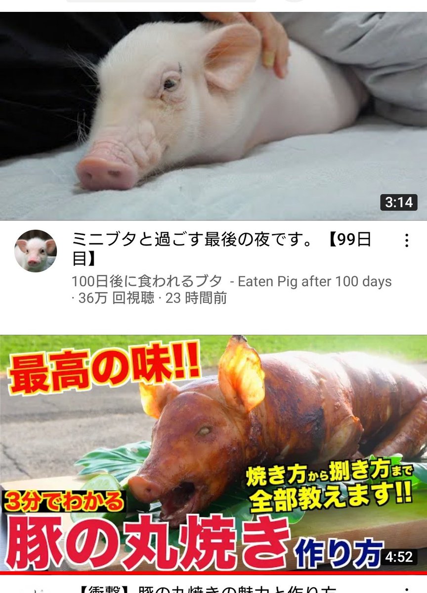 あまりにも綺麗に並んで出てきたもんだから、調理工程になって急にテンション豹変したのかと思ってビビり散らしちゃった(違うチャンネルのやつでした)