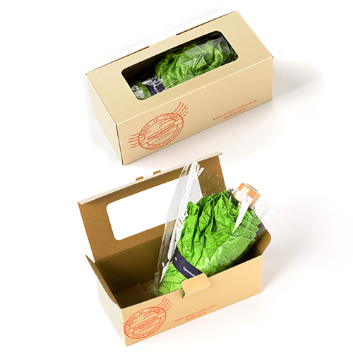 とてもレタスな傘「Vegetabrella」に出会った