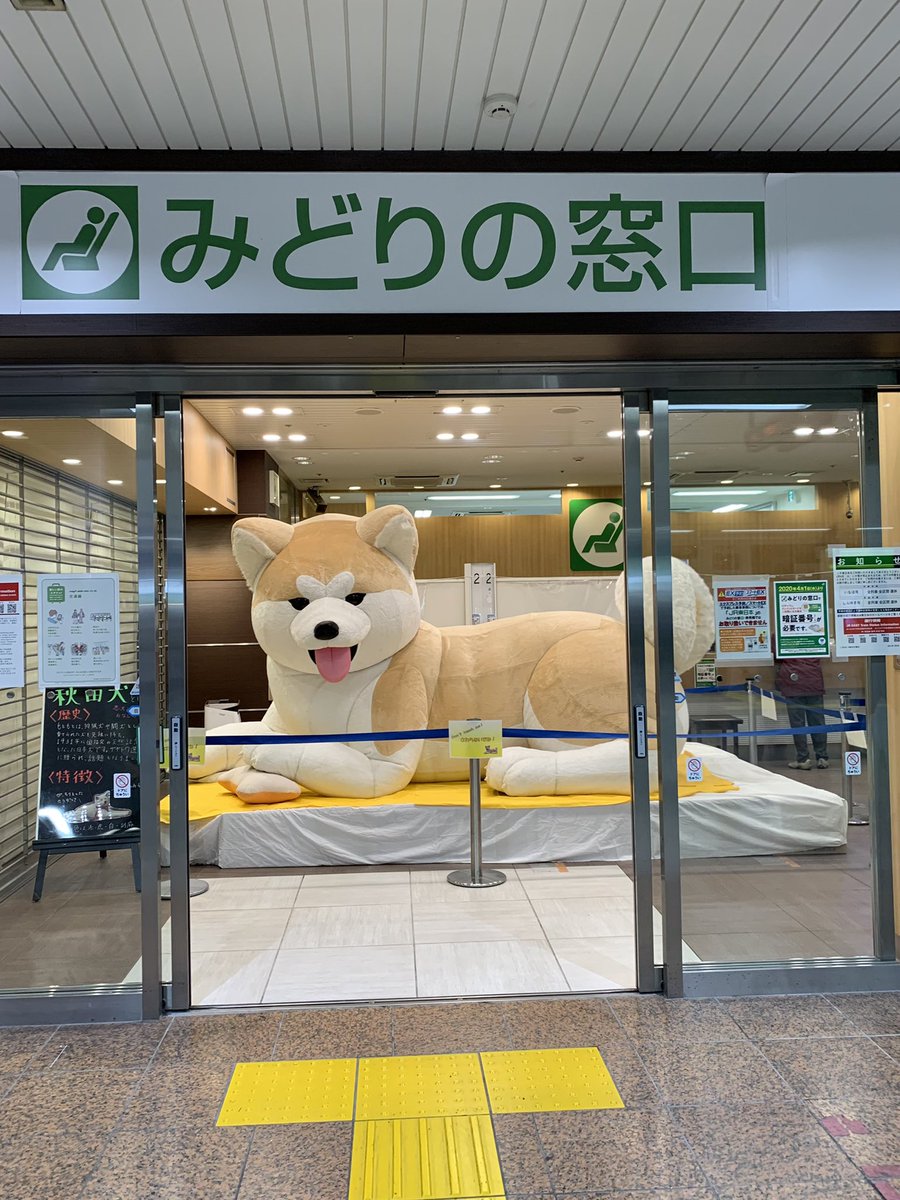 えっ🐶 