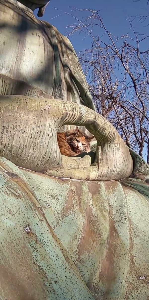 御手に包まれていた 