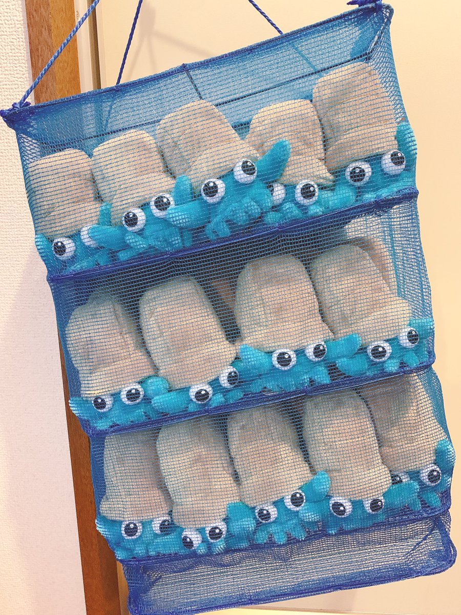 みちみちの干しオムナイトを見て 