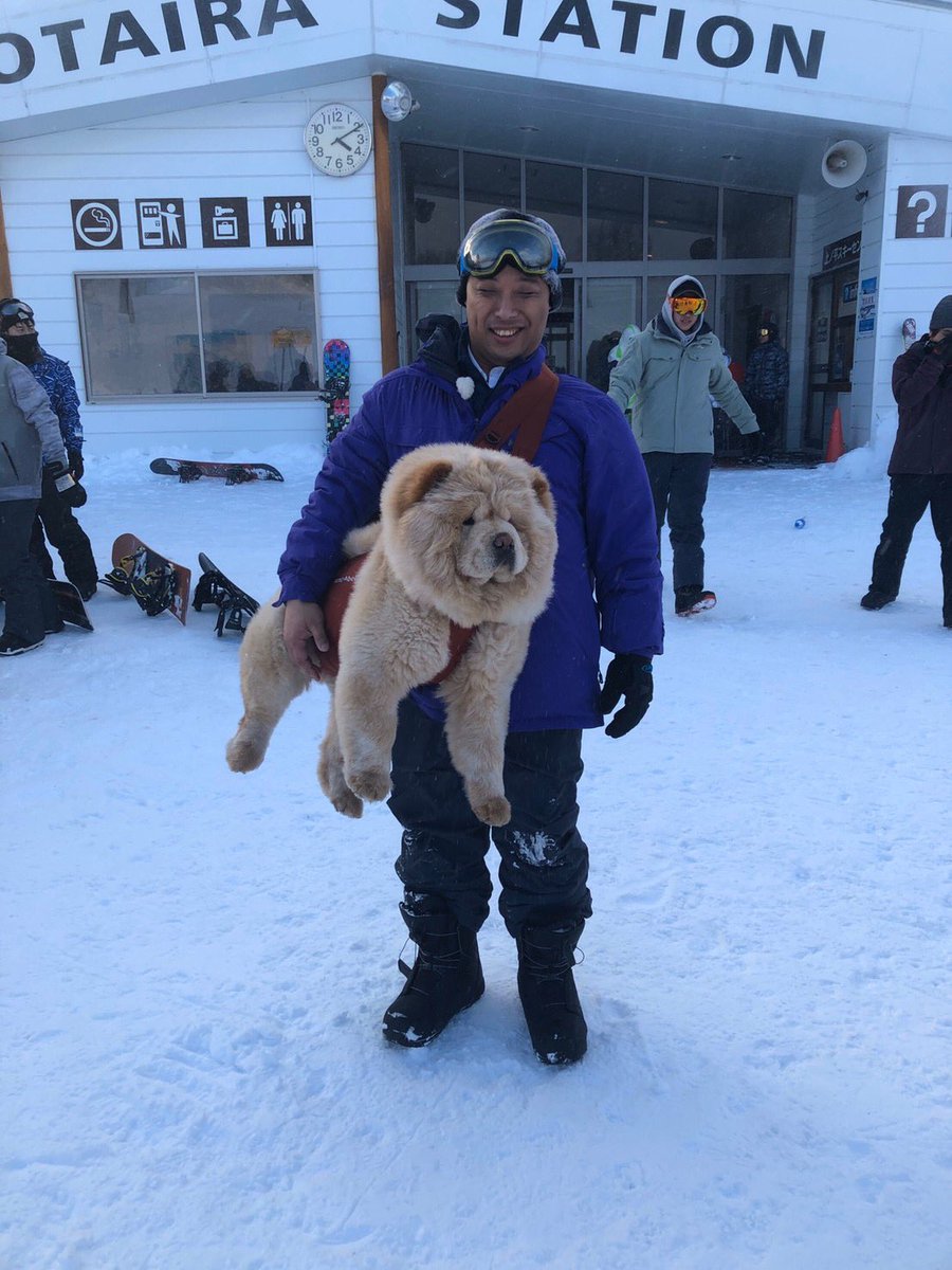 トム・ブラウンみちおとチャウチャウの写真、良すぎて泣いてしまいそうになる… 