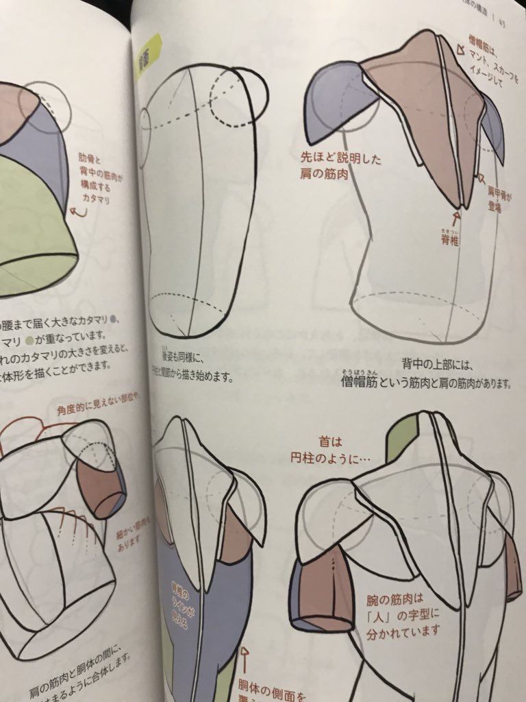 「ソッカの美術解剖学」と合わせて読みたい