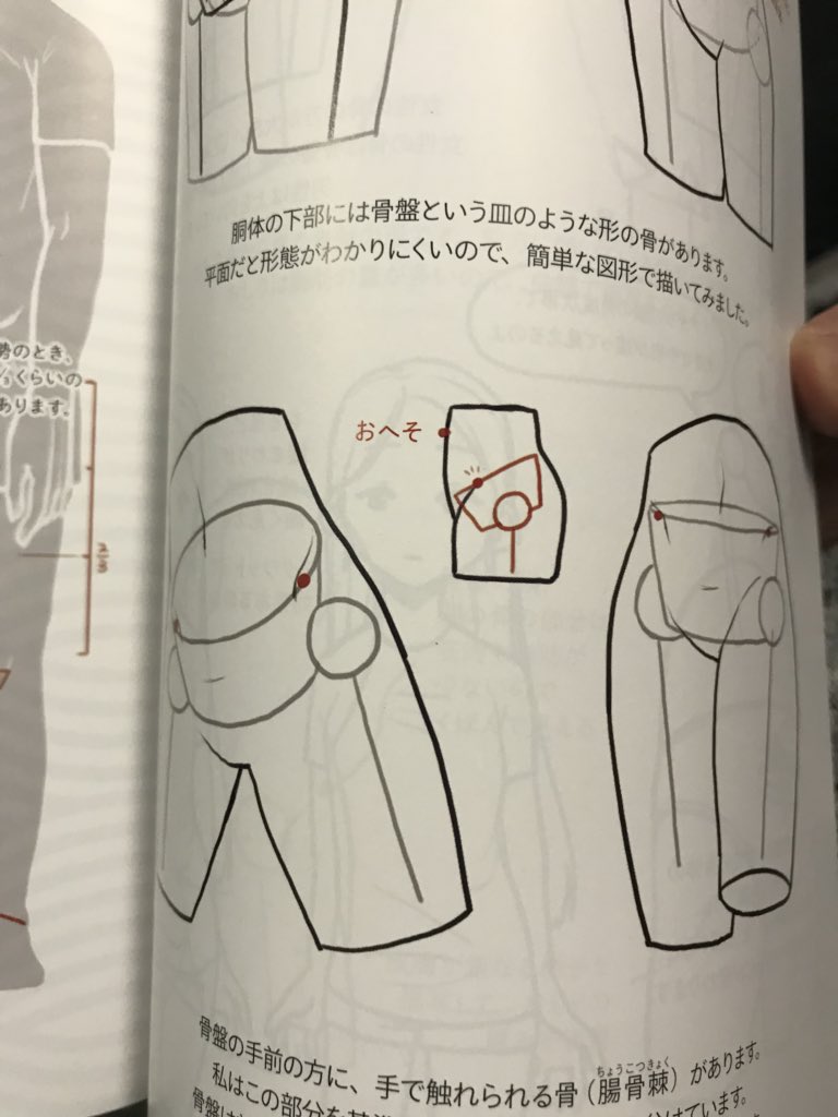 「ソッカの美術解剖学」と合わせて読みたい