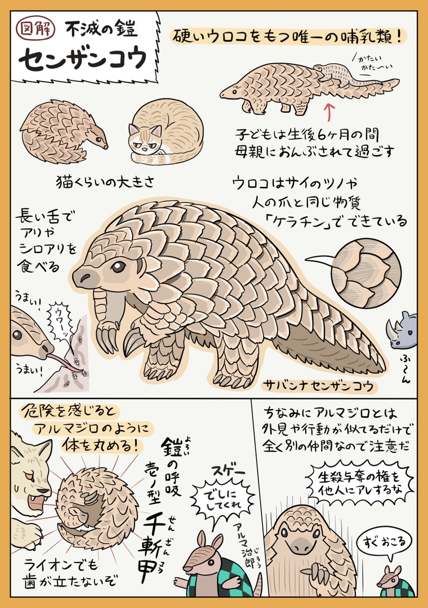 無敵のウロコをもつ動物「センザンコウ」の図解です
