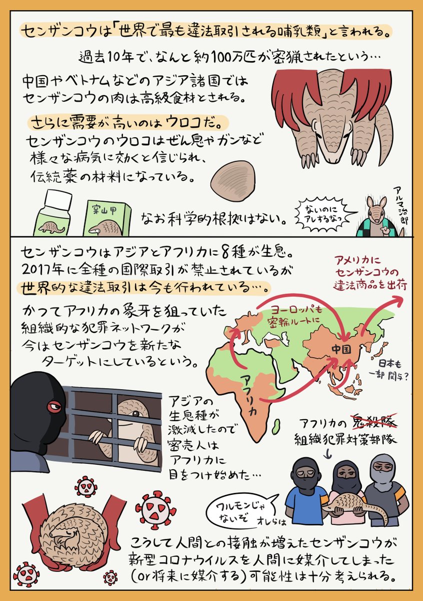 無敵のウロコをもつ動物「センザンコウ」の図解です