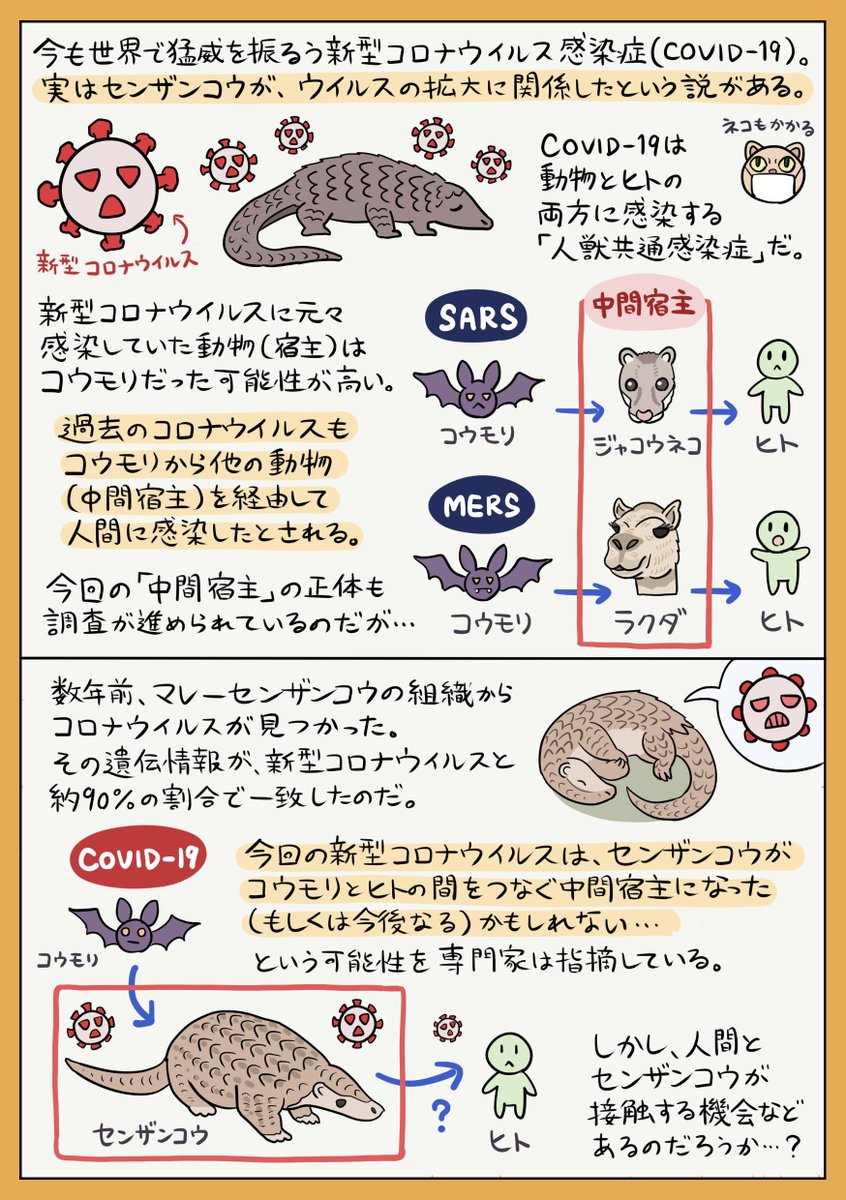 無敵のウロコをもつ動物「センザンコウ」の図解です