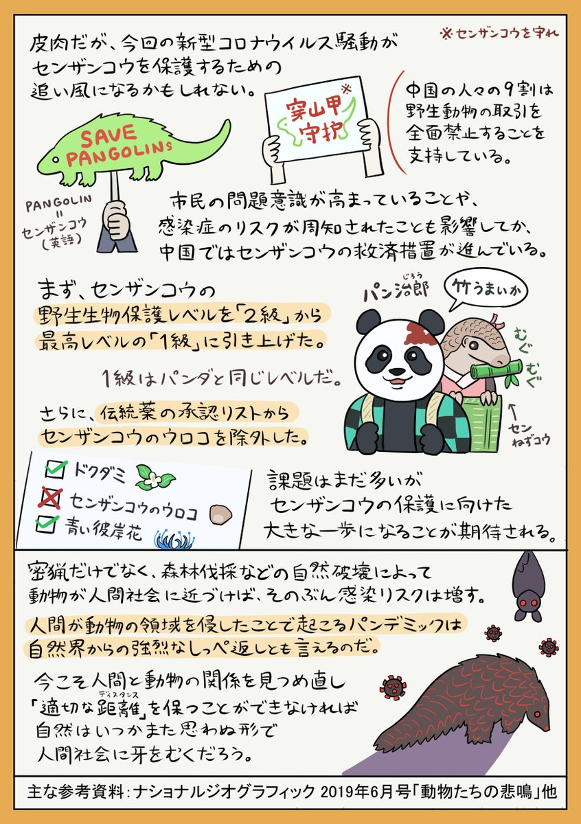 無敵のウロコをもつ動物「センザンコウ」の図解です
