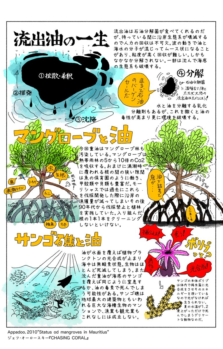 モーリシャス重油流出事故に関して、これを期にヒト・環境への重油の影響などを調べたものをまとめました