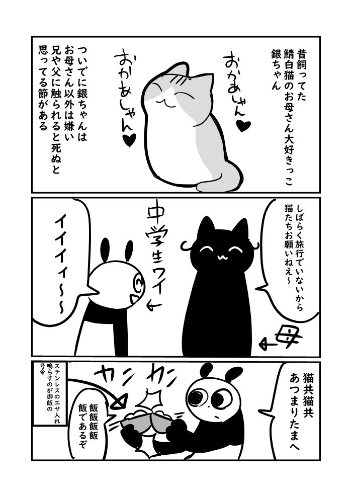 猫漫画　銀ちゃん❤　＃ぬら次郎日記 