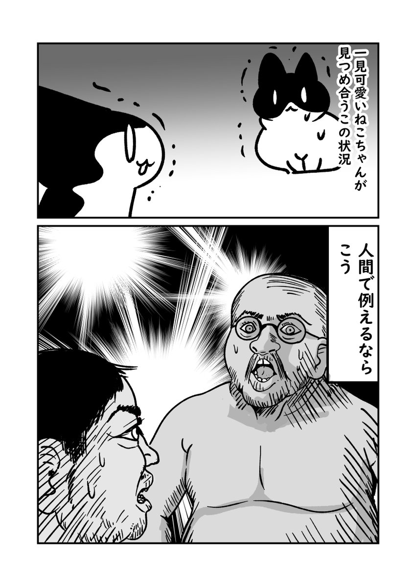 ネコちゃんって数匹で飼うと超かわいい… 猫同士を会わせる時 多頭飼いする時はこのことを想像してみてね 