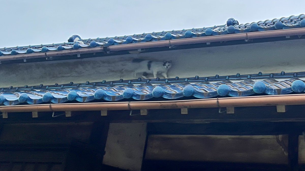 壁の汚れのせいか猛スピード出してるように見える 