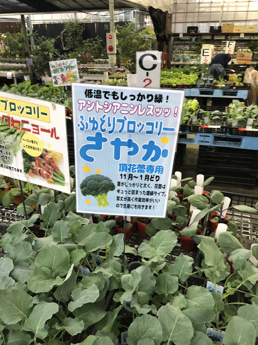 訳がわからないよ 