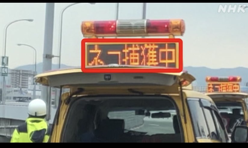 ネコ捕獲中って見たことないな 