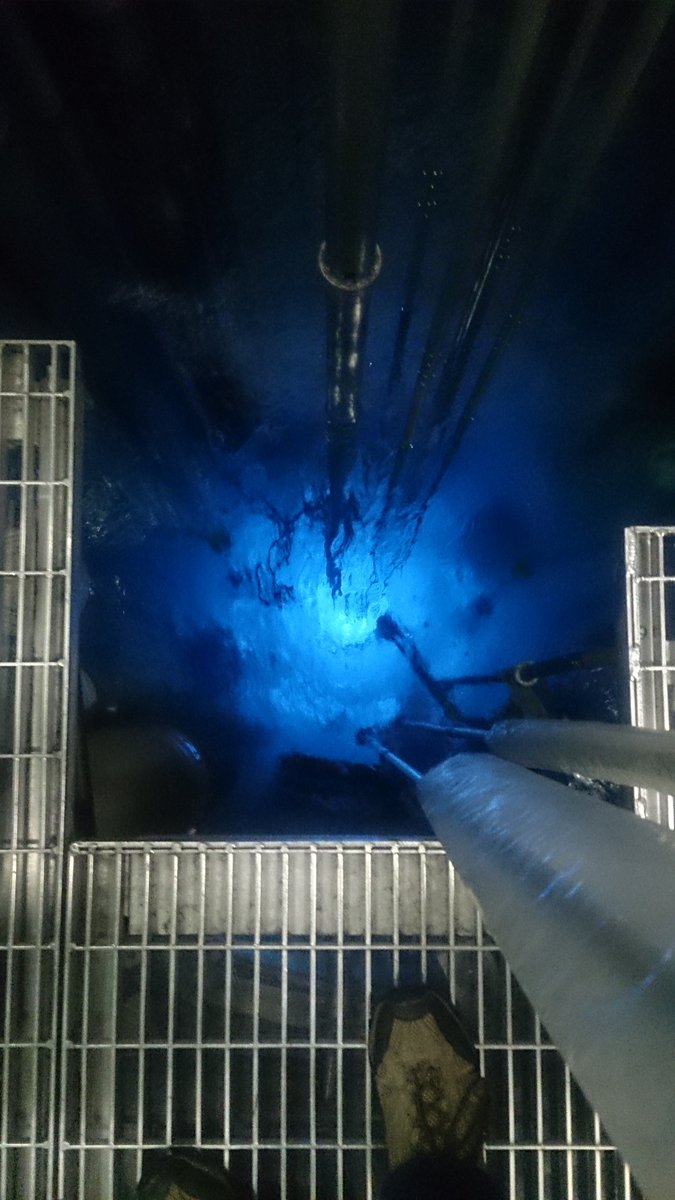 #お前よくぞそんなもん撮ってたな選手権  原子炉炉心って綺麗だよねー 