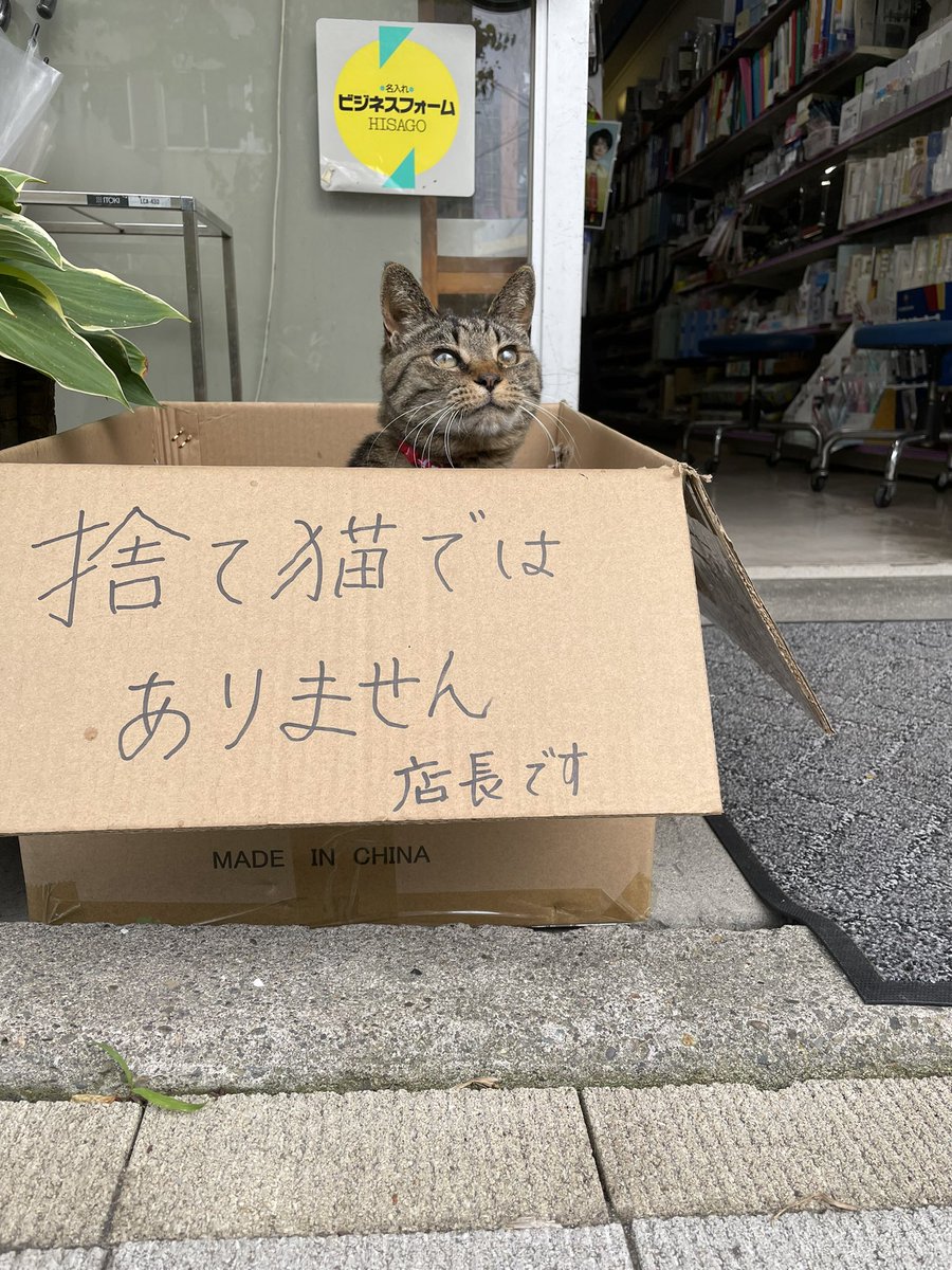 店長です！ 