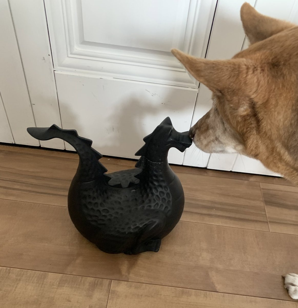 （謎のアンティーク、出自不明） キッチンにドラゴンが置いてある絵面がもう草 