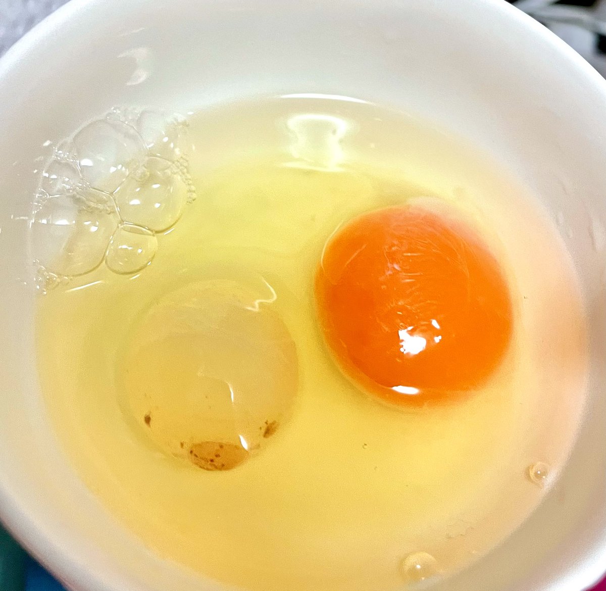 玉子割ったら2個出てきたうえになんか片方の様子がおかしい 