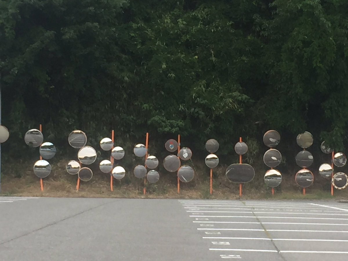 繁殖のため、一箇所に集まった野生のカーブミラー。 