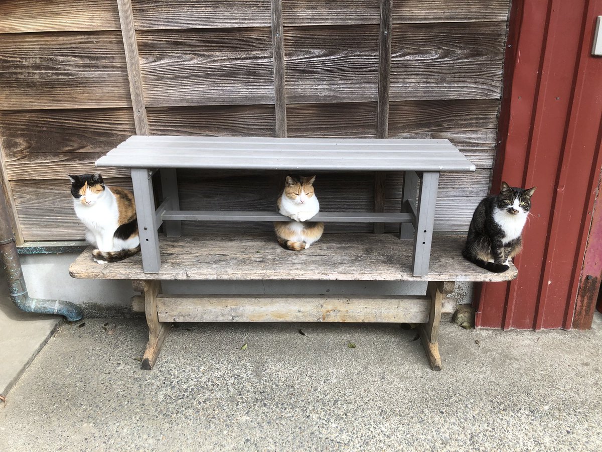 かんちゃんひさびさにバーやってる 