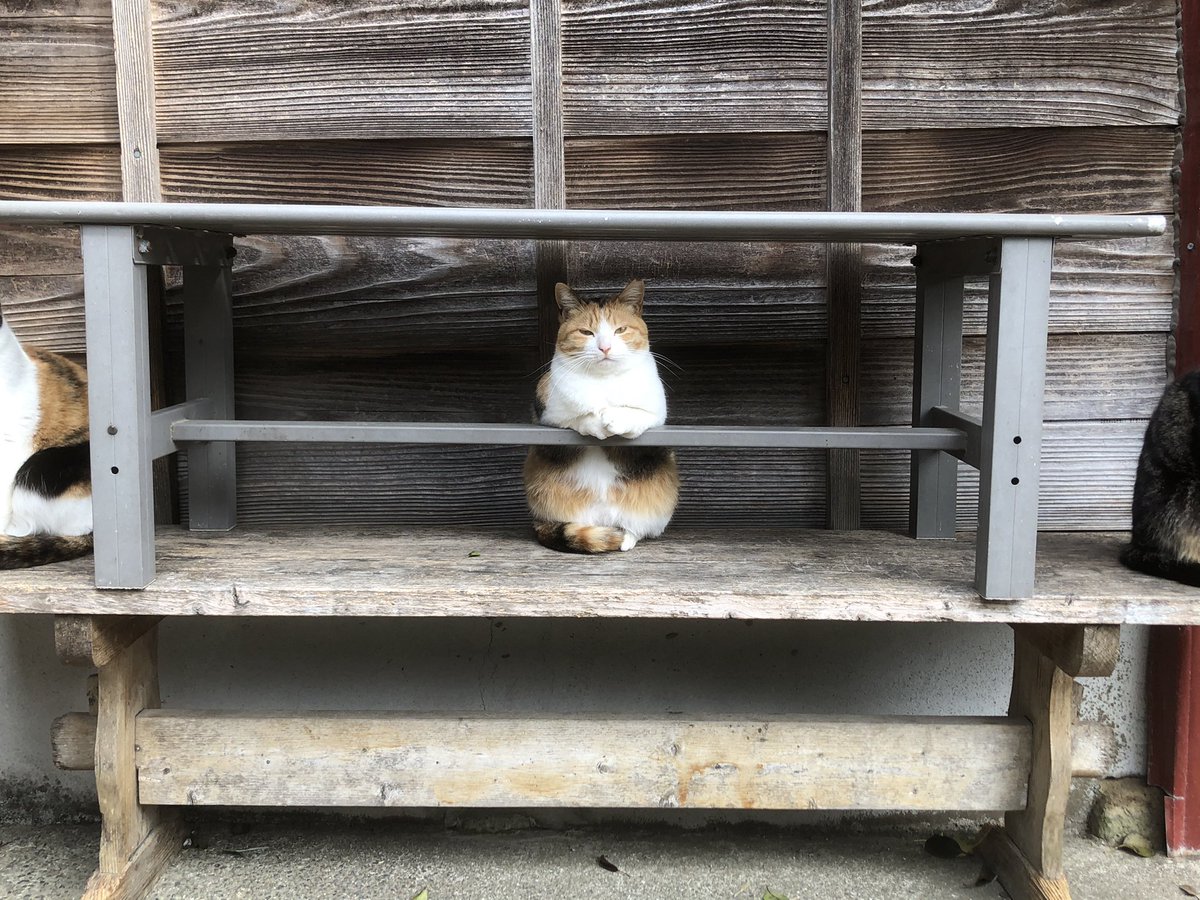 かんちゃんひさびさにバーやってる 